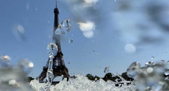 The Toll of the Olympics on the Environment